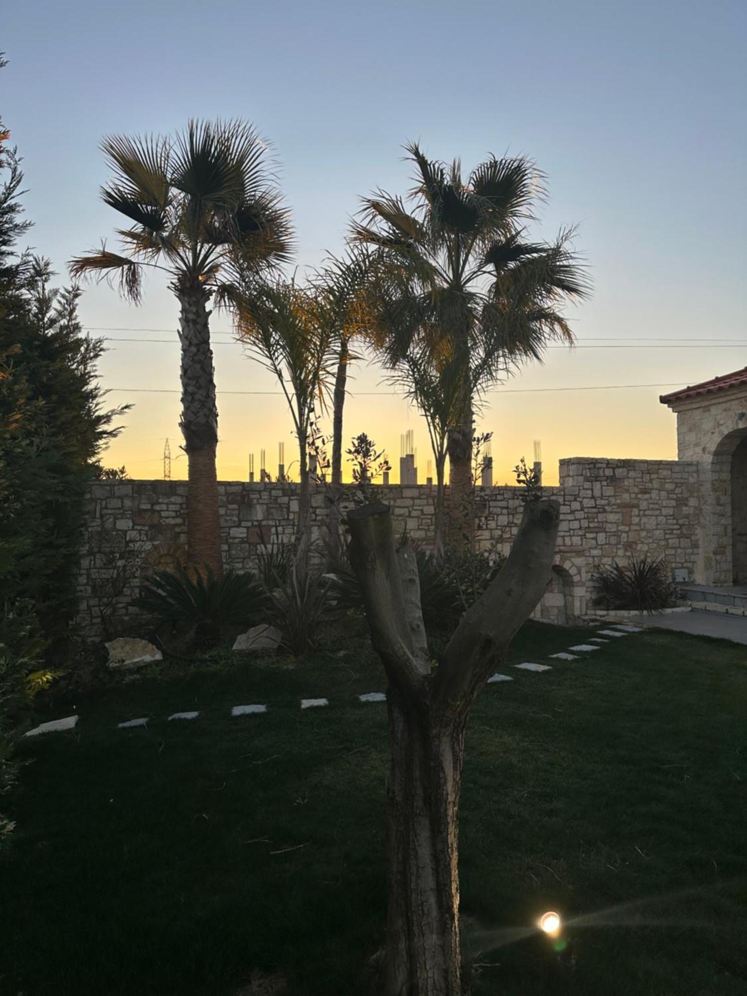 Green Villa With Private Pool Dıraç Dış mekan fotoğraf